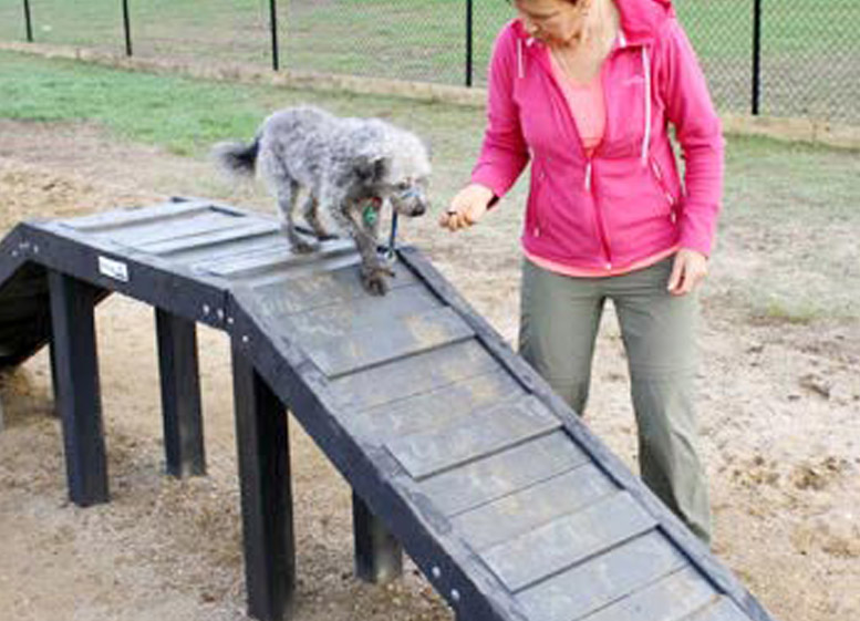 Integrated Recycled Plastic Paws4Play (ramp)